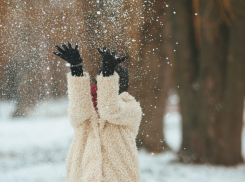Воронежскую область в преддверии Нового года накроют снегопады