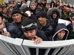 Воронежским предприятиям запретят использовать труд мигрантов