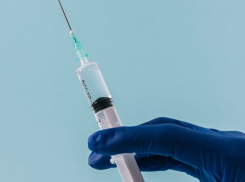 В Воронежской области лихорадку Денге последний раз регистрировали в 2024 году