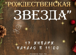 В Панинском районе пройдёт фестиваль «Рождественская звезда»
