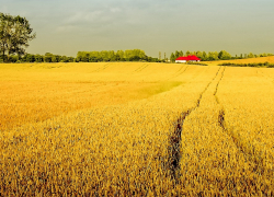 Названия 22 воронежских населённых пунктов вошли в число самых смешных в стране
