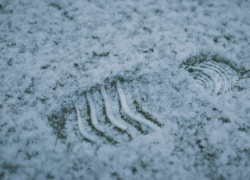 В Воронежскую область вслед за оттепелью придут морозы