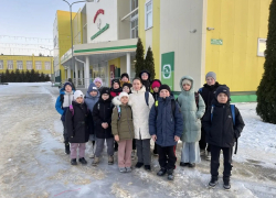 Бобровские пловцы приняли участие в областных соревнованиях «Резерв Воронежской области»