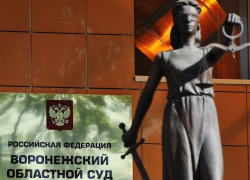 За чудовищное убийство пенсионерки в Панинском районе воронежцу грозит пожизненное заключение