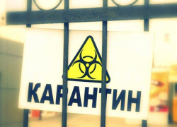 В посёлке в Эртильском районе из-за лейкоза ввели карантин