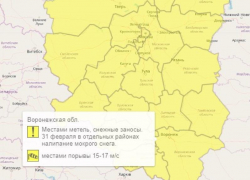 Желтый уровень опасности из-за погоды объявили в Воронежской области 