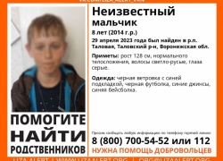 Найденного в Таловой мальчика отправят в детский дом