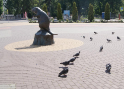 Жителей Боброва приглашают на интеллектуальный баттл «Разных народов большая семья»