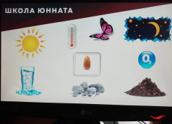 В Петровской школе провели Всероссийский экологический урок