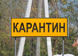 В Панино на три месяца ввели карантин по бешенству