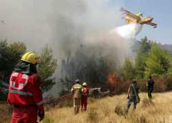 Воронежские лесные пожарные получили новую технику