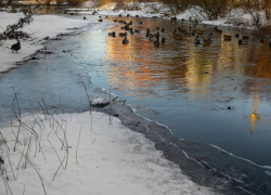 В Воронежской области в преддверии паводка обследуют берега рек