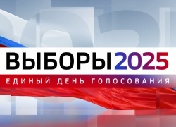 Как в Воронежской области будут работать школы и детские сады в дни выборов