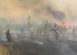 В 8 районах Воронежской области установился чрезвычайный уровень пожарной опасности