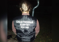 В Таловском районе сосед по даче убил и изнасиловал помощницу воронежского депутата