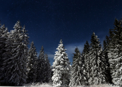 В Воронежской области в середине октября ожидается первый снег