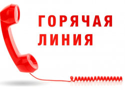 Воронежцам расскажут, как выбрать детский лагерь