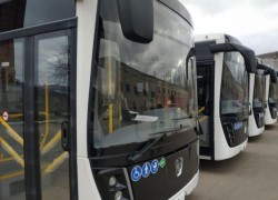 В 2025 году Воронежская область получит дополнительно 43 новых автобуса