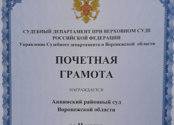 Аннинский райсуд завоевал второе место в областном конкурсе сайтов 