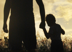 В Воронежской области в декрет ушли более 1,4 тыс. пап