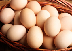 В Воронежской области продолжают дешеветь яйца
