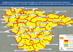 В Воронежской области установили III класс пожароопасности
