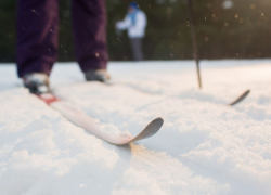 Жителей Воронежской области приглашают к участию в гонке «Лыжня России – 2026»