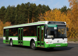 В автопарк Бобровского района поступило 9 новых автобусов
