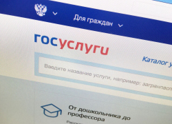 Жители Воронежской области теперь могут регистрировать детей через интернет