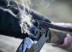 В Воронежской области могут запретить охоту на пернатую дичь