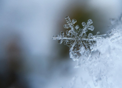 Воронежскую область накроет снегопад, мороз и сильный ветер