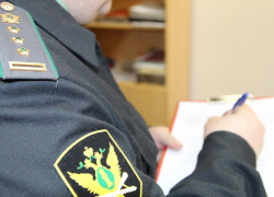В Воронежской области приставы отправили домой 13 нелегалов