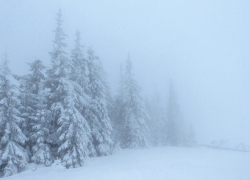 В Эртильском районе высота сугробов достигла 47 см