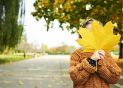 Жителей Эртильского района приглашают на праздник «Здравствуй, школьная пора!»
