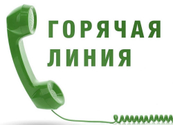 В Воронежской области запустили горячую линию по вопросам контрафакта