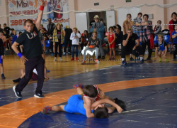 Эртильские спортсмены победили в Межрегиональном турнире по вольной борьбе