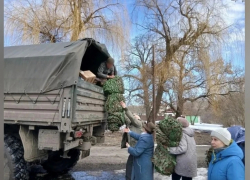Жители Красненского поселения Панинского района помогли бойцу СВО