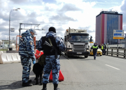 В Воронежской области отменили режим контртеррористической операции (КТО)