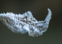 В Воронежской области объявлено штормовое предупреждение из-за аномальных холодов