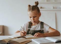 Школьники Воронежской области будут учить на уроках музыки песни Shaman и Газманова