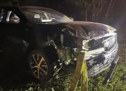 В ДТП в Бобровском районе пострадали годовалый мальчик и девушка