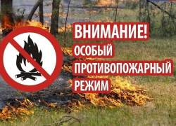 В Воронежской области с 1 апреля введут противопожарный режим