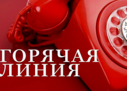 В Воронежской области запустили горячую линию по вопросам туризма и отдыха