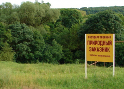 В Михайловском природном заказнике запретили использовать химические препараты