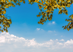 Синоптики сообщили о погоде в Воронежской области в сентябре