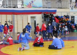 Таловские самбисты выиграли на областных соревнованиях 11 медалей