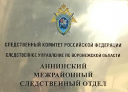 Следственным комитетом  Воронежской области организована проверка по сообщению о нападении собаки на ребенка