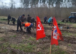 Жители Бобровского района приняли участие в акции «Сад памяти»