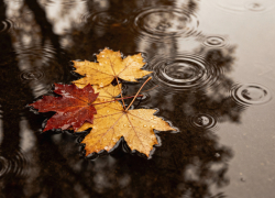 Воронежских автомобилистов призвали к осторожности в связи с ухудшением погодных условий