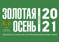 Таловский район получил золотую медаль на агропромышленной выставке «Золотая осень – 2021»